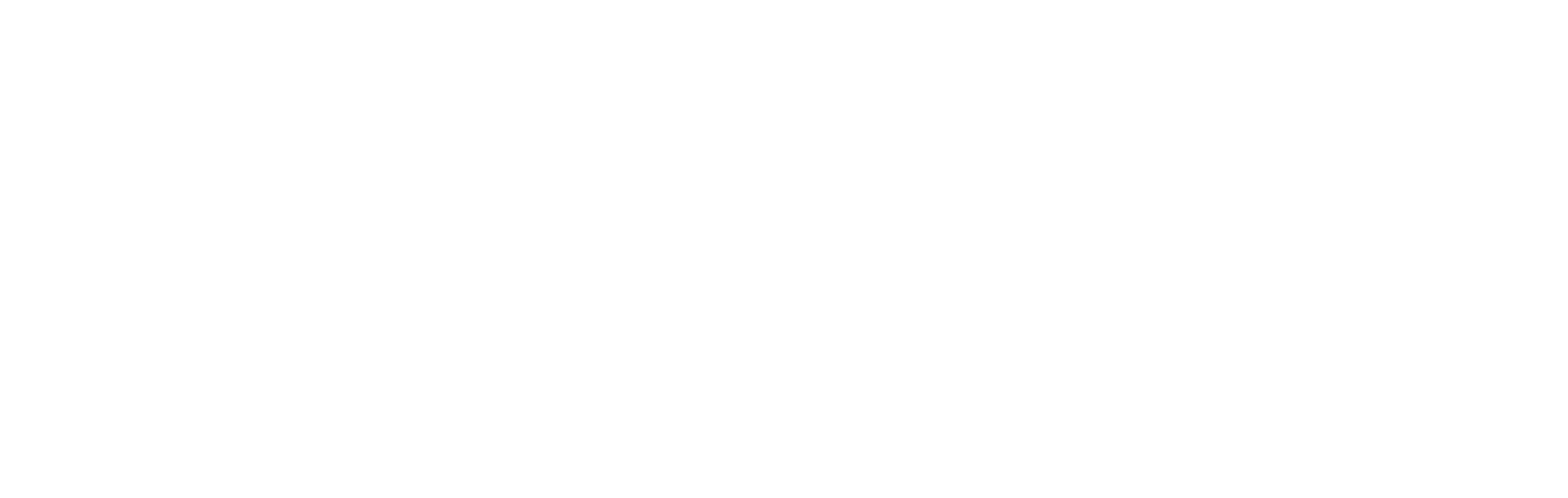 Dana Logo2