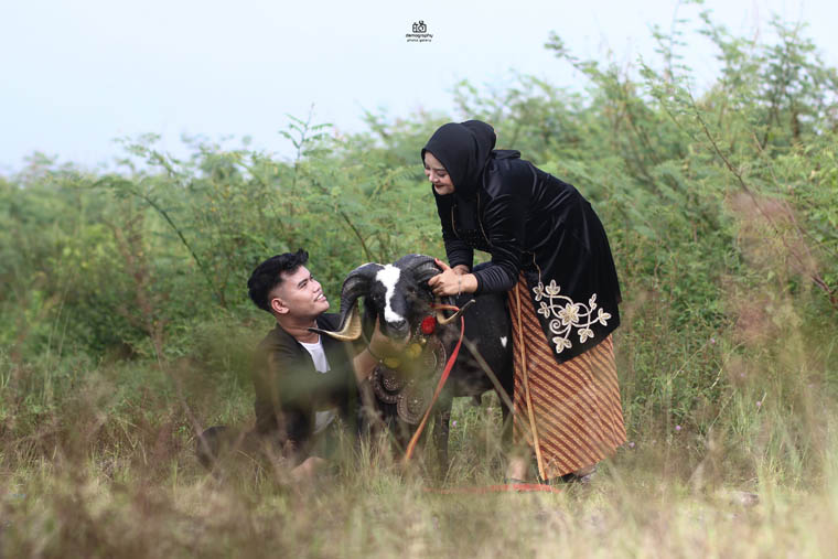 WhatsApp Image 2025-03-14 at 12.28.06