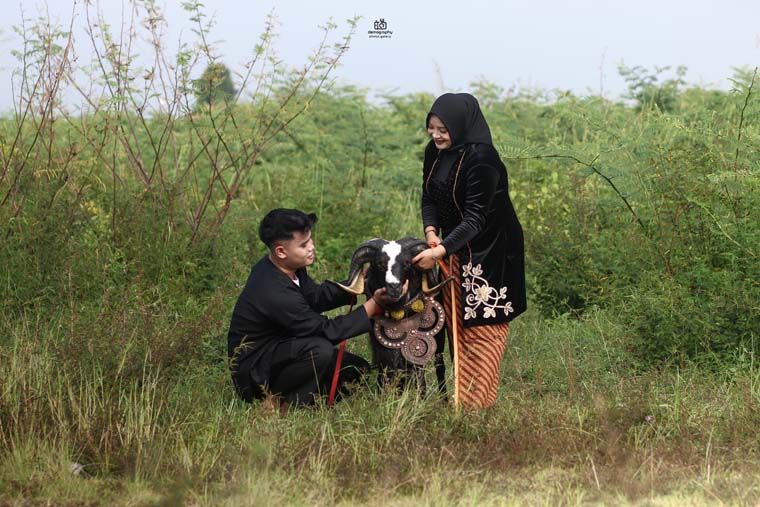 WhatsApp Image 2025-03-14 at 12.28.07 (1)