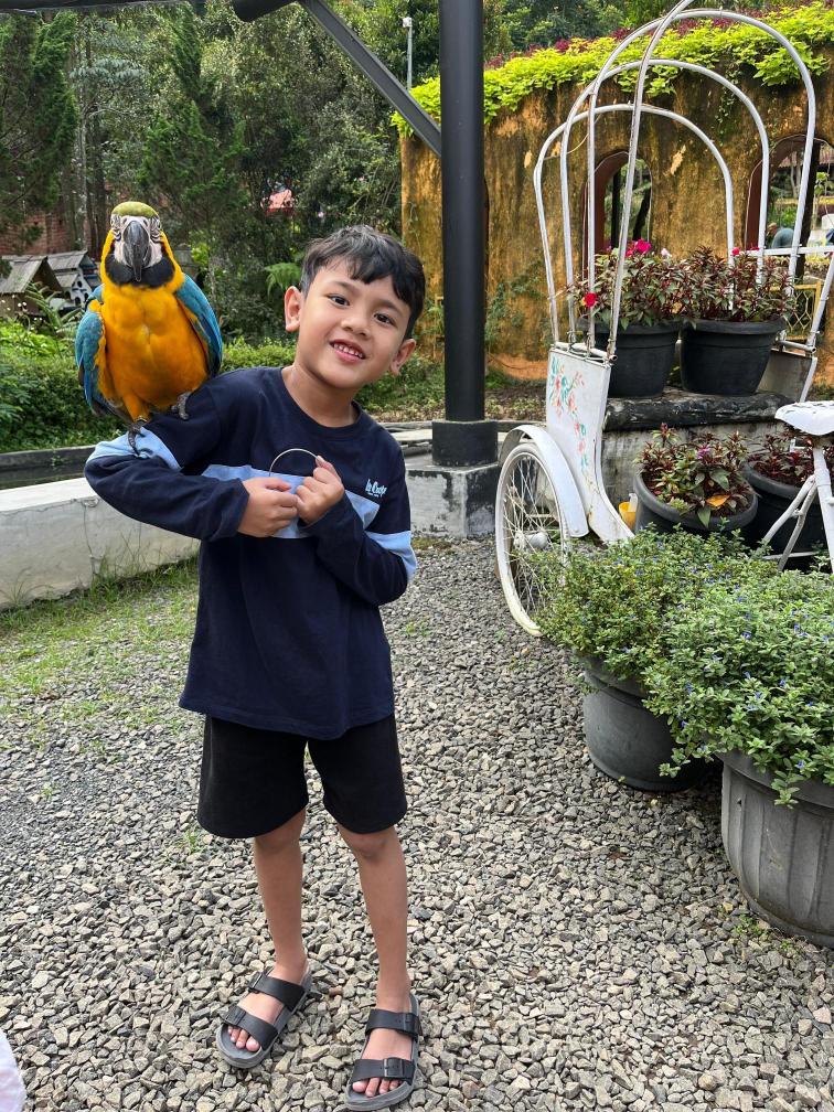 Walimatul Khitan Ibrahim Abdillah Mannaf